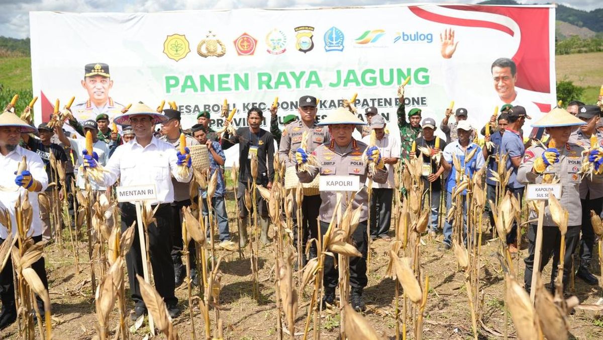 Kapolri: Panen Jagung Serentak Capai 2,54 Juta Ton