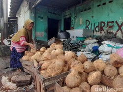 Stok Langka, Harga Kelapa di Pasar Bantul Naik Jadi Rp 18 Ribu per Butir