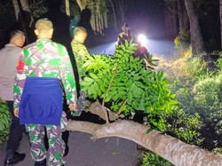 3 Anggota TNI yang Disandera Warga Ijen Bondowoso Akhirnya Bebas