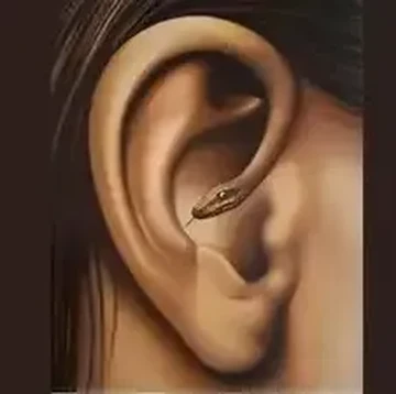 Tes Kepribadian: Gambar Telinga atau Ular yang Pertama Kamu Lihat? Ini Artinya...