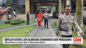 VIDEO: Sepuluh Satwa Liar Dilindungi Diamankan dari Pengusaha