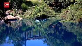 VIDEO: Danau Sao Paolo 'Membiru' Gegara Zat Pewarna Tumpah