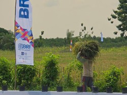 Pakar soal Menteri Imipas Buat Ketahanan Pangan-Dapur MBG di Lapas: Program Bagus!