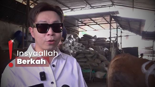 Momen Richard Lee Beli 3 Sapi Limousin Buat Kurban Ditemani Ustaz Derry