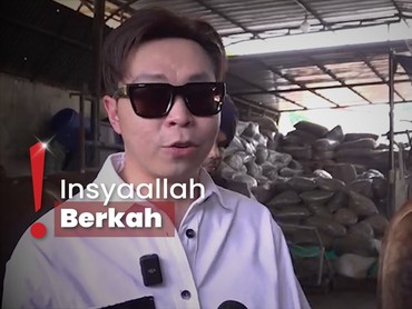 img-title Momen Richard Lee Beli 3 Sapi Limousin Buat Kurban Ditemani Ustaz Derry