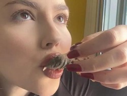 Wanita Ini Doyan Makan Kantong Teh, Sebut Rasanya Sangat Enak