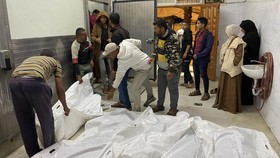 146 Warga Gaza Tewas dalam 24 Jam Akibat Serangan Israel