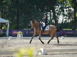 Kapan Berkuda Indonesia Bisa Lolos Olimpiade?