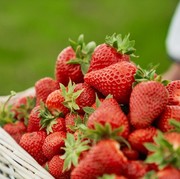 Satu Buah Favorit Banyak Orang Ini Punya 7 Manfaat untuk Tubuh, Apa Itu?