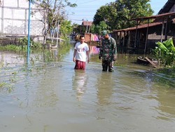 Tanggul Sungai Tuntang Jebol, Ratusan Rumah di Demak Kebanjiran