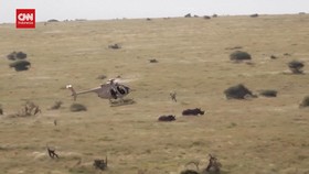 VIDEO: Aktivitas Giring Badak Pakai Helikopter di Kenya