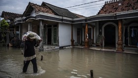Banjir Rendam Dua Desa di Lumajang, 1.281 KK Terdampak