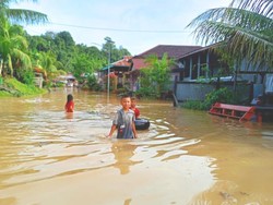 Banjir di Bulungan Sudah 3 Hari Belum Ada Tanda-tanda Surut