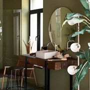 Jangan Asal, 3 Tanaman Ini Sebaiknya Tidak Ditaruh di Kamar Mandi