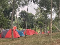 Fasilitas dan Harga Terkini Wisata Kaliwungu Karawang, Ada Hutan Warna!