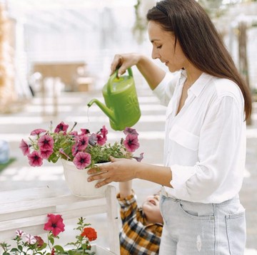 5 Tanaman Hias yang Mudah Dirawat, Cocok untuk Orang Sibuk!