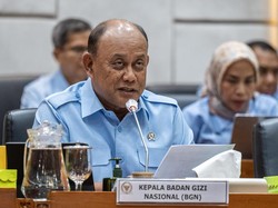 Terkuak Penyebab Keracunan di Program MBG
