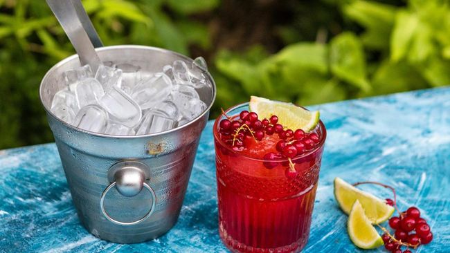 5 Manfaat Luar Biasa Jus Cranberry untuk Kesehatan Anda: Tingkatkan Imunitas dan Jaga Keseimbangan Tubuh!