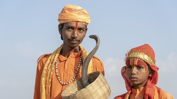 Ini Satu-satunya Desa Ular di India