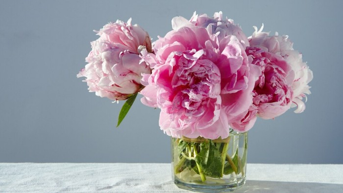 Ilustrasi/Foto: freepik.com/wirestock