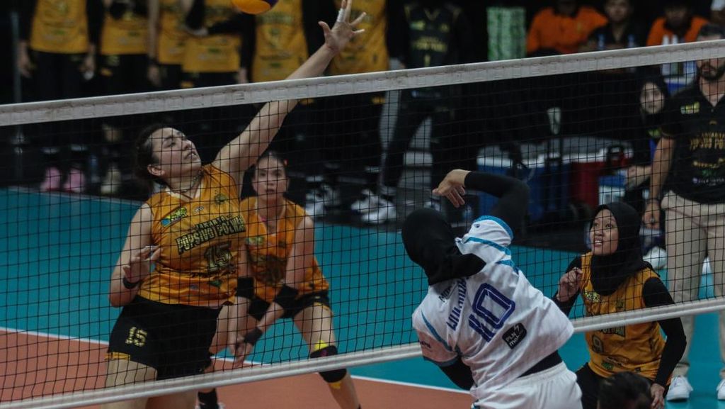 Klasemen Proliga 2026 Usai Pekan Pertama: Popsivo Polwan di Puncak