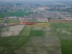 Janji Pemerintah Moratorium Alih Fungsi Lahan Sawah