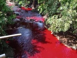 Heboh Air Sungai Silayar Cirebon Berubah Jadi Merah
