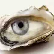 Tes Kepribadian: Gambar Mata atau Kerang Tiram yang Pertama Kamu Lihat? Ini Artinya...