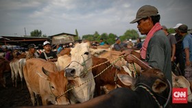 Bacaan Doa Menyembelih Hewan Kurban Lengkap dengan Niat Berkurban
