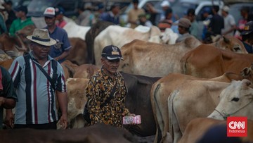 Siasat Beli Hewan Kurban di Tengah Lonjakan Harga Jelang Iduladha
