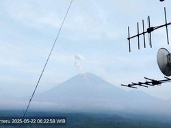 Gunung Semeru Erupsi Lagi, Tinggi Letusan 700 Meter Pagi Ini
