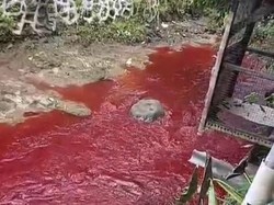 Teka-teki Penyebab Air Sungai Silayar Cirebon Berubah Jadi Merah