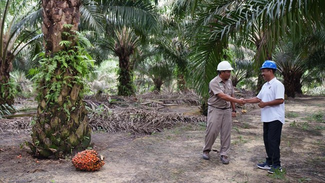 AsianAgri2030 yang diluncurkan sejak 2022 memiliki misi meningkatkan kesejahteraan petani sekaligus memberikan dampak pada lingkungan.