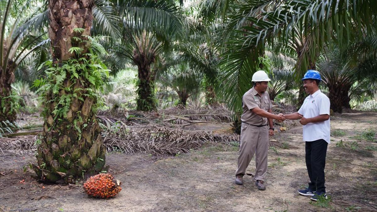 AsianAgri2030: Kesejahteraan Petani Lewat Kemitraan Berkelanjutan