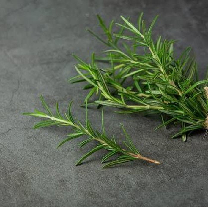 Rosemary/Foto: Freepik