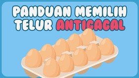 INFOGRAFIS: Panduan Memilih Telur Antigagal