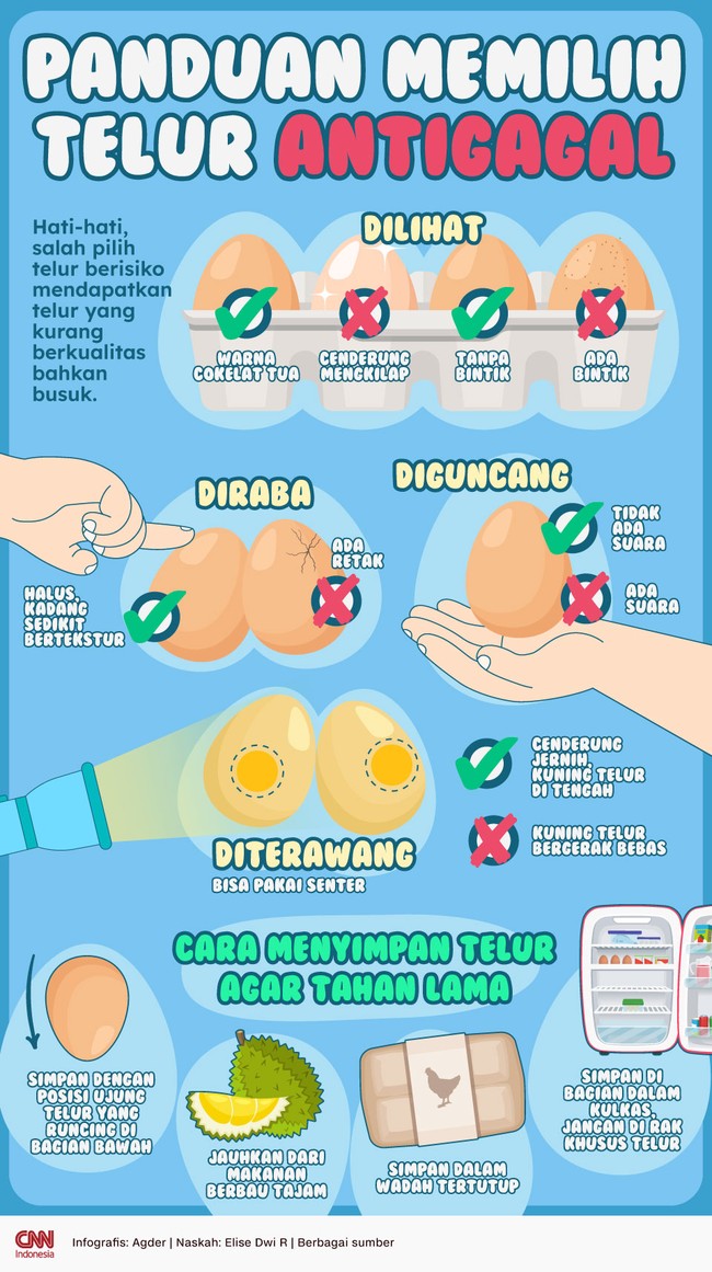 Teliti sebelum membeli. Cek beberapa tips berikut agar terhindar dari telur berkualitas buruk atau busuk.