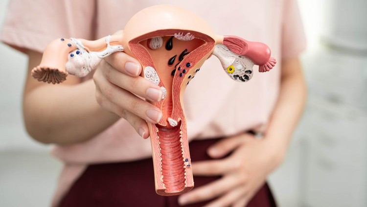 Kesehatan reproduksi perempuan Kesehatan reproduksi perempuan