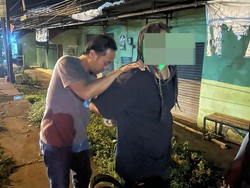 Pria Gresik yang Beri Makan Ular dengan Kucing Ditangkap