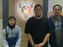 Pengakuan Pria Gresik Pemilik Ular Peliharaaan yang Dikasih Makan Kucing