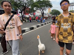 Warga Bawa Soang Sambil Jogging di CFD Depok: Biar Bonding Sama Manusia