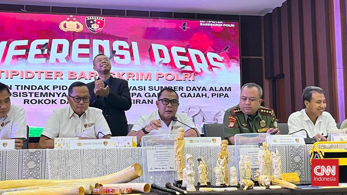 Bareskrim Tangkap 4 Penyelundup Gading Gajah Senilai Rp2,4 Miliar