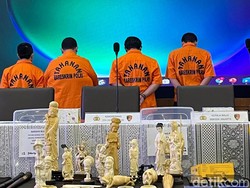 Bareskrim Lakukan Tes DNA Cari Asal-usul Gading Gajah Ilegal Rp 2,3 M