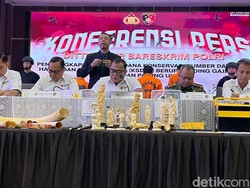 4 Fakta Pipa Rokok hingga Ukiran Gading Gajah Rp 2,3 M Dibongkar