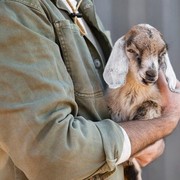 Kurban Atas Nama Orang yang Sudah Meninggal, Bagaimana Hukumnya?