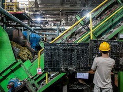 1.641 Perusahaan Proses Bangun Pabrik, Bakal Serap 3 Juta Pekerja