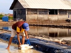 Semringahnya Petani Probolinggo Saat Harga Garam Naik Rp 1.100/Kg