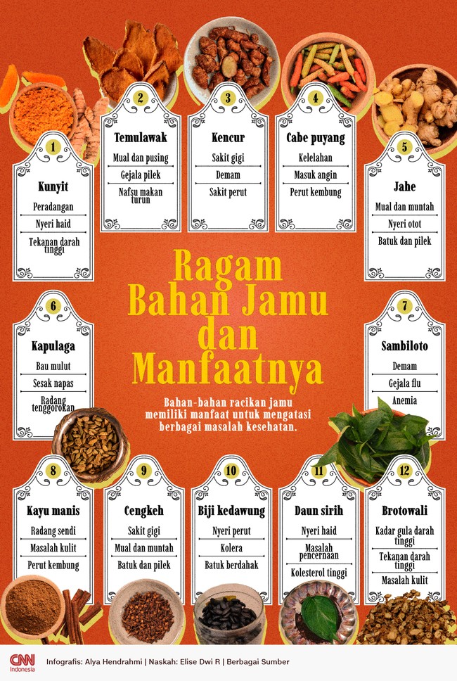Bahan-bahan jamu menawarkan aneka manfaat kesehatan. Manfaat ini pun semakin kaya saat diolah menjadi racikan jamu.