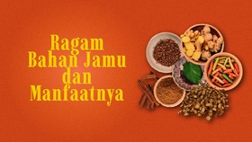 INFOGRAFIS: Ragam Bahan Jamu dan Manfaatnya