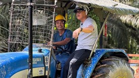 Menteri Karding Kunjungi PMI di Malaysia dan Ikut Panen Sawit